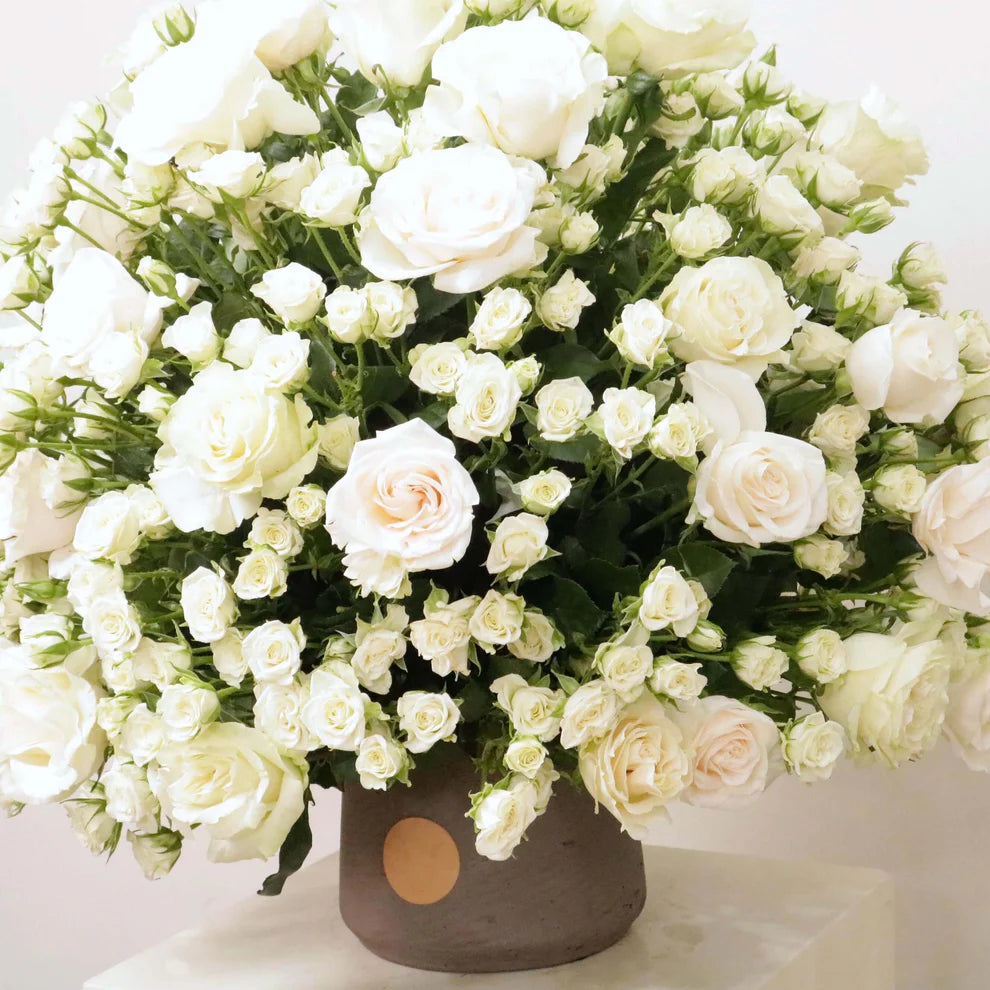 Royal Gardenia — Classic White Luxury Arrangement